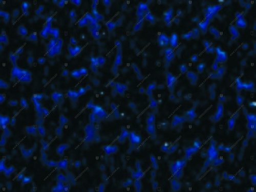 01390.O0948 DOVM948 EP синий