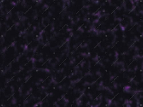 01390.O0949 DOVK949 EP фиолетовый