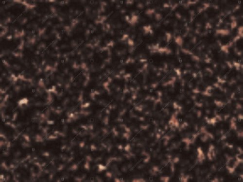 04390.ON423 DOVN423 PE