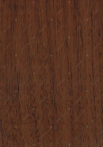 21 дикая яблоня