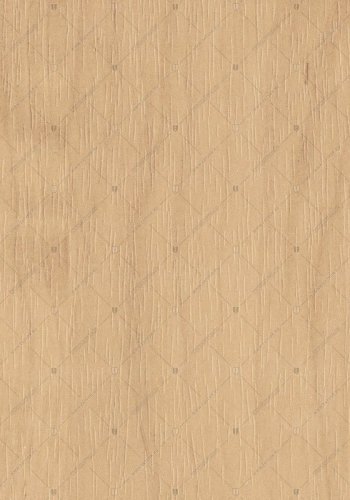 4641 клён полярный