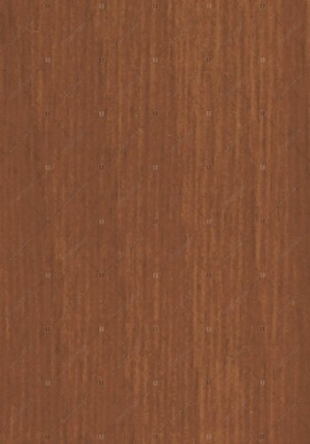 4892 испанская вишня