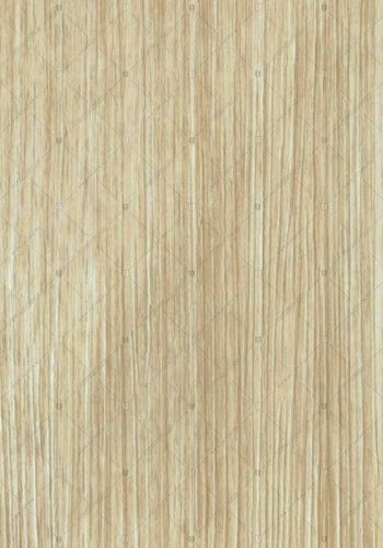 5028 дуб седой