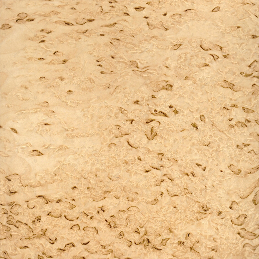 Берёза Карельская