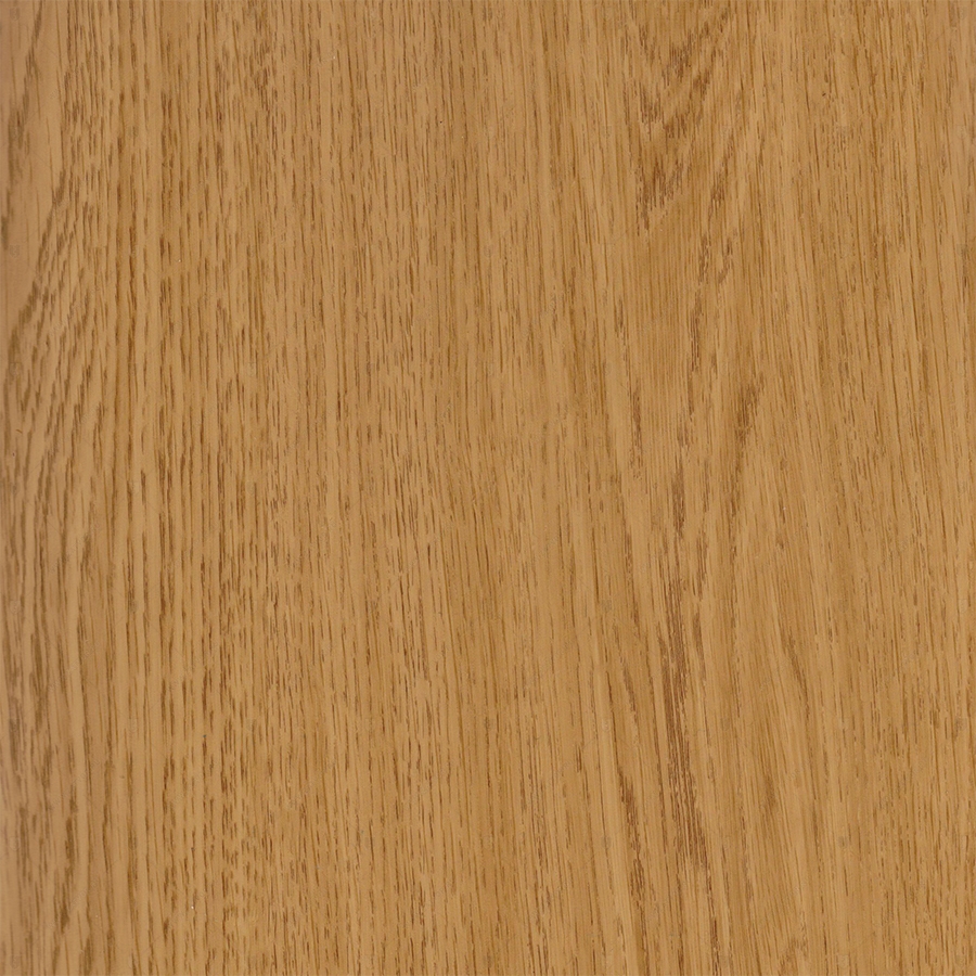 Дуб Кавказский