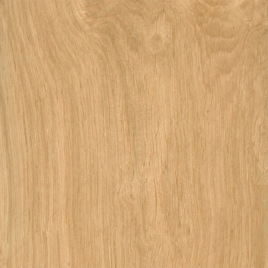 Дуб Pepper (Узелковый)