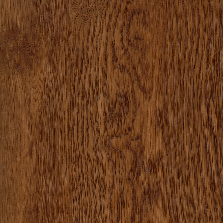 Дуб Янтарный