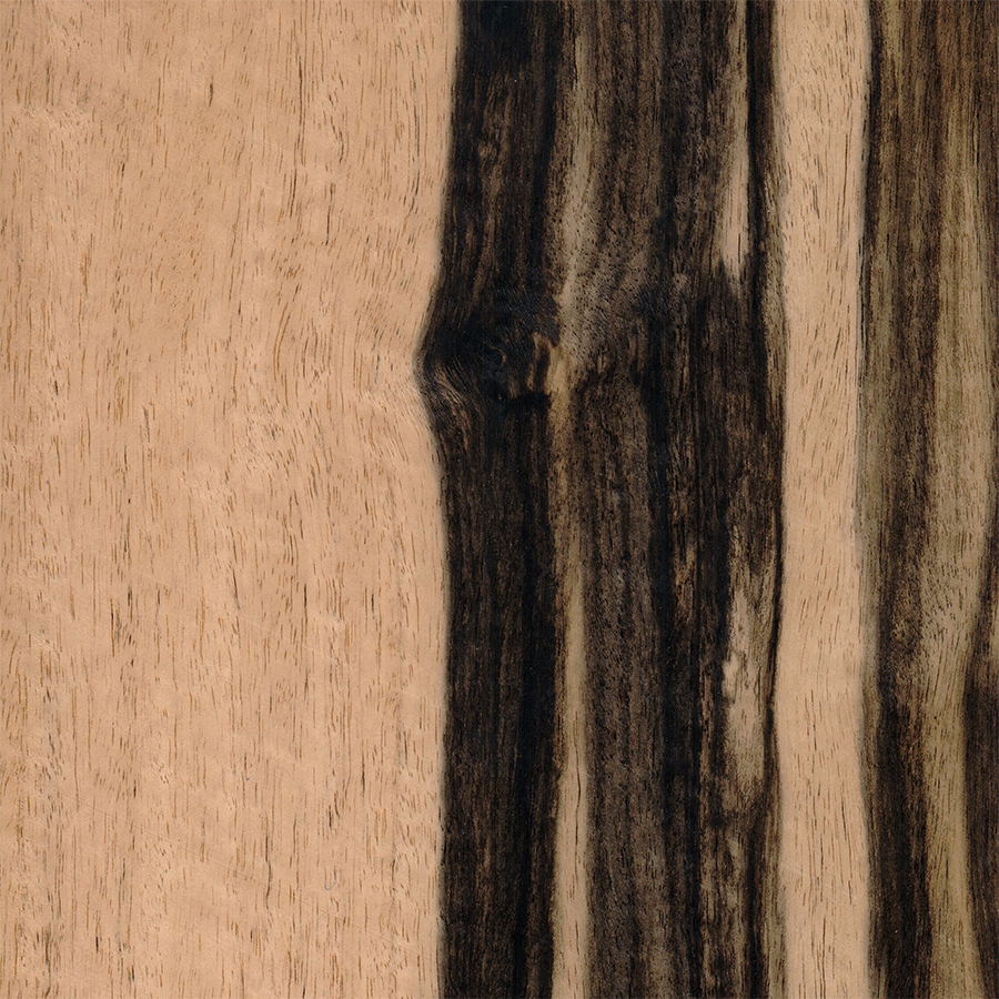 Эбен Африканский