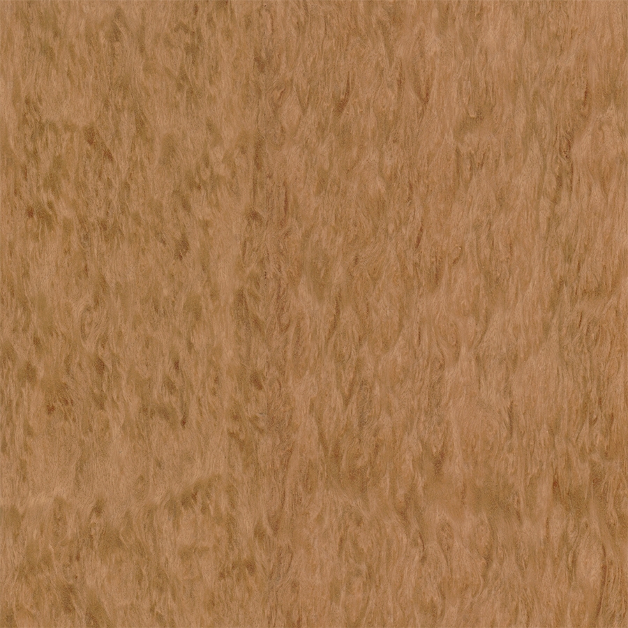 Эвкалипт Помеле