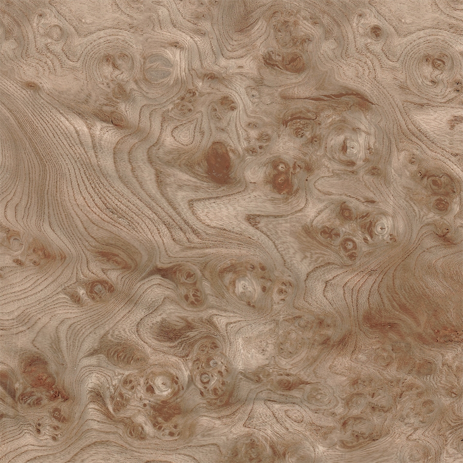 Ильм Корень