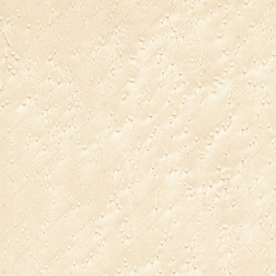 Клён Птичий Глаз