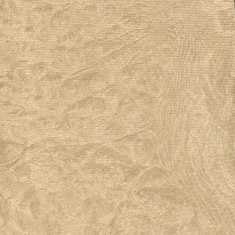 Мирт Корень