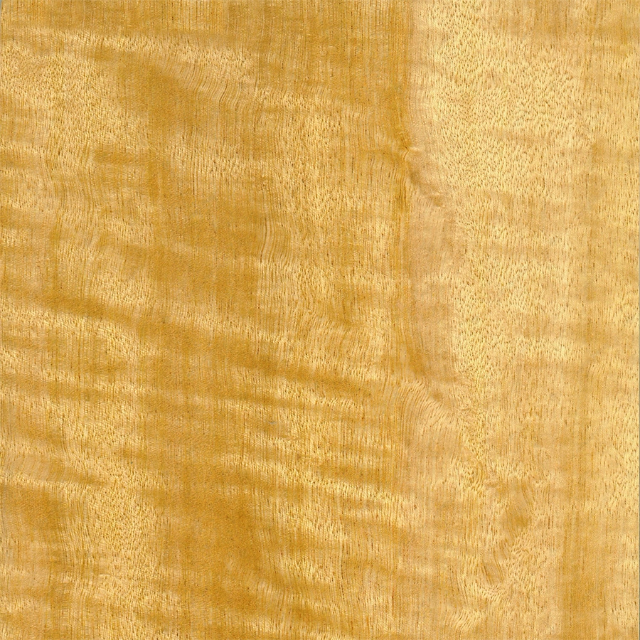 Мовингу (Frisse)