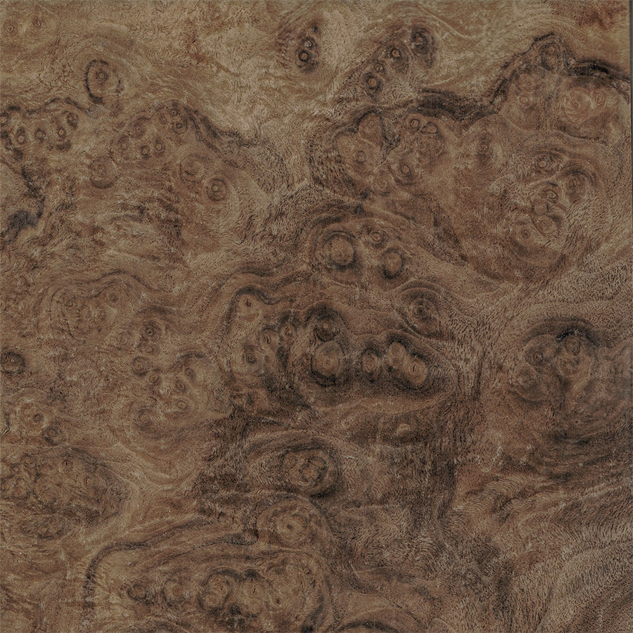 Орех Американский Корень