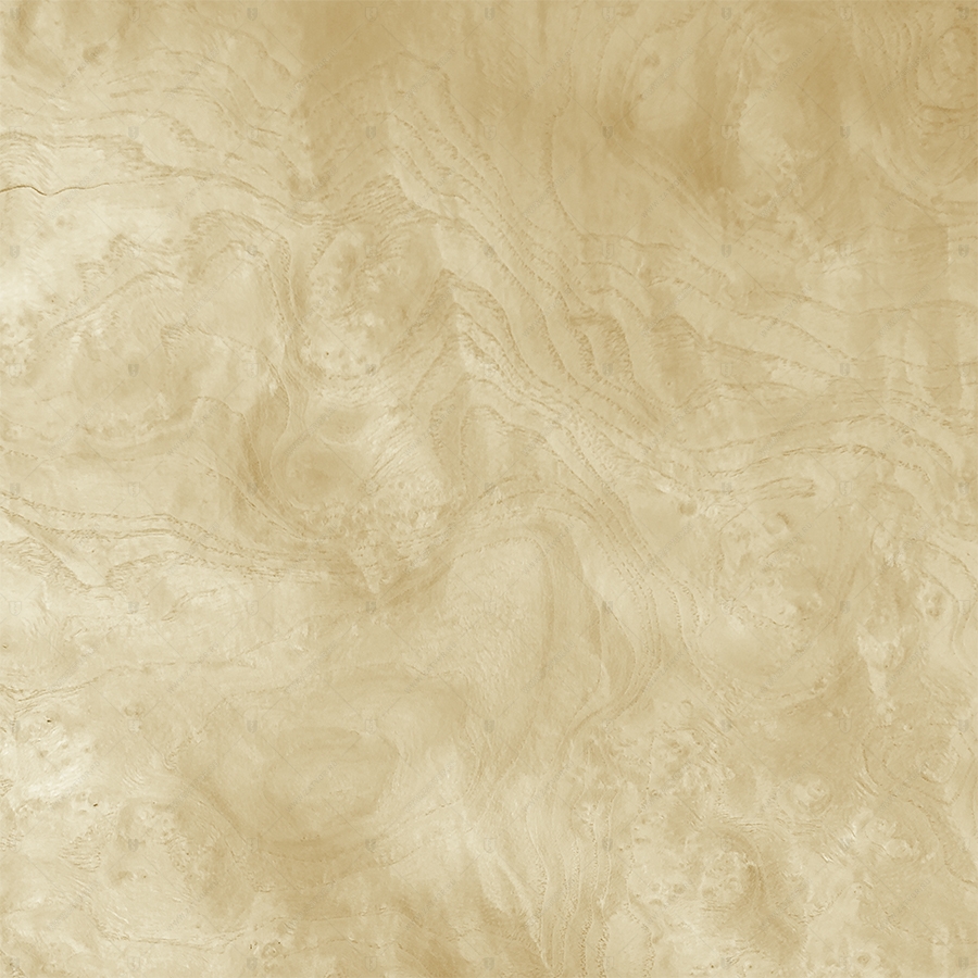 Ясень Белый Корень